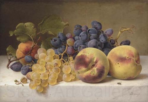 Johann Wilhelm Preyer A Still Life with Peaches and Grapes on a Marble Ledge Norge oil painting art